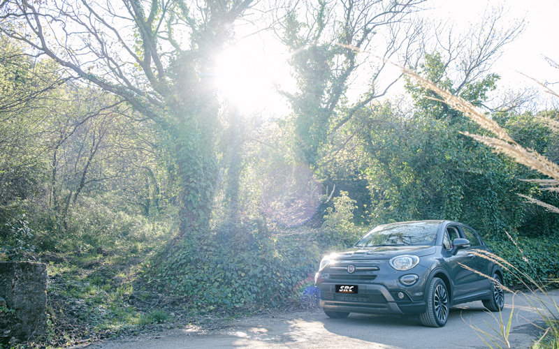 Especies de plantas de las Madonie